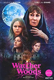 Flavorlab provided sound design and mix for thriller remake, The Watcher In The Woods.