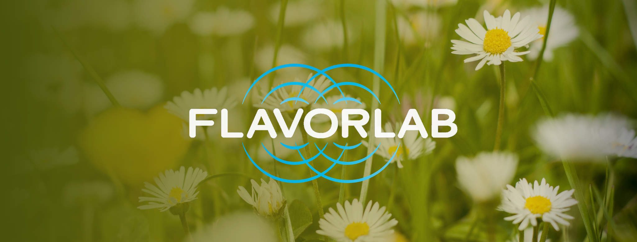 Banner for the 2021 May Tastes playlist - the Flavorlab logo overlaid on a picture of white daisies in a field overlaid with an olive green gradient.
